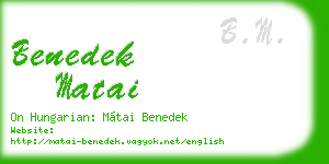 benedek matai business card